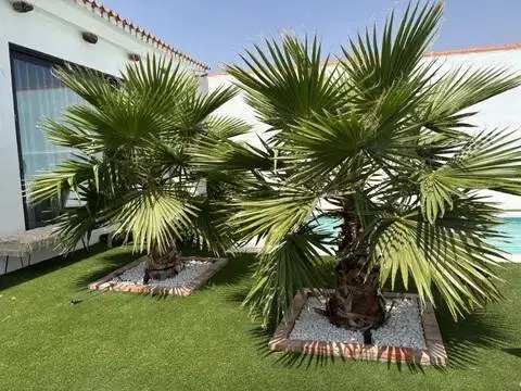 Chalet en Alcázar de San Juan