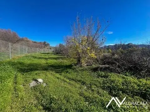 Terreno en Aceitunera