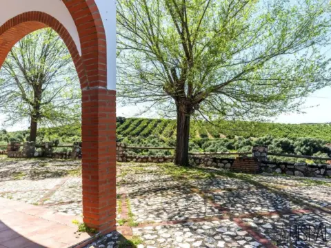 Casa rústica en Cantillana