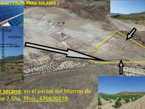 Terreno en Jumilla