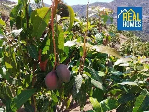 Terreno en Sayalonga