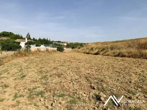 Terreno en Aceitunera