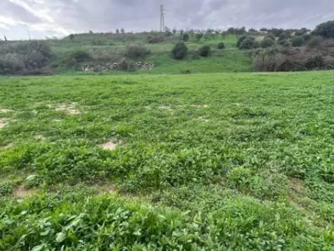Terreno en El Romeral-Santa Amalia
