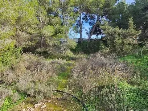 Terreno en Sant Josep de sa Talaia