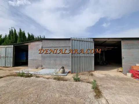 Terreno en Pedreguer