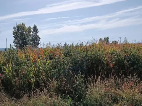 Terreno en Galisteo
