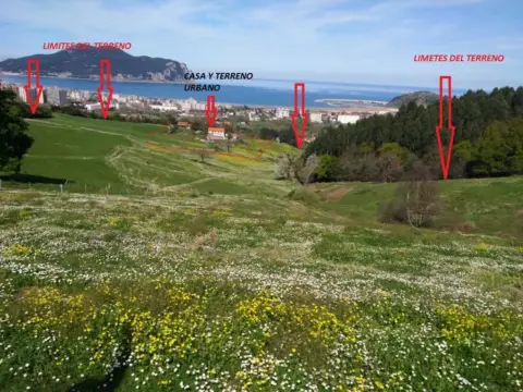 Terreno en El callejo-La Pesquera-La Arenosa