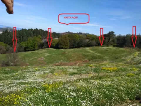 Terreno en El callejo-La Pesquera-La Arenosa