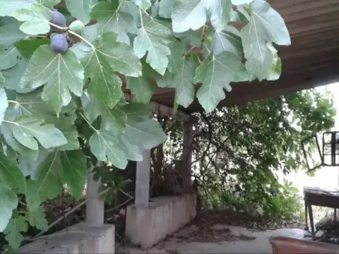 Terreno en Vinaròs