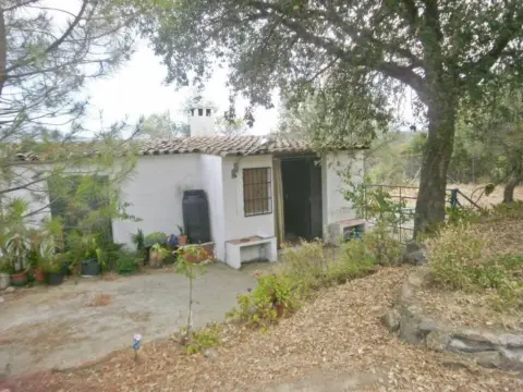 Terreno en Plasencia
