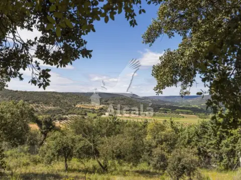 Terreno en Fuentenovilla