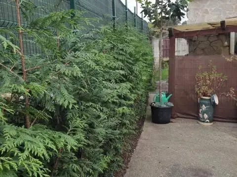 Chalet en A Barbeita