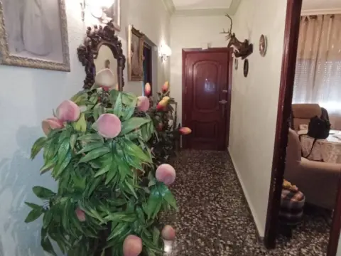 Casa pareada en El Poblado-Constitución-El Villar