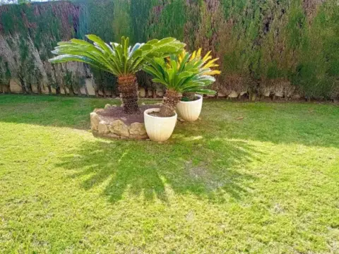 Casa adosada en Carrer de Neptú