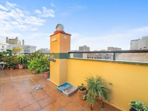 Dúplex en El Torcal-Nuevo San Andrés-Dos Hermanas