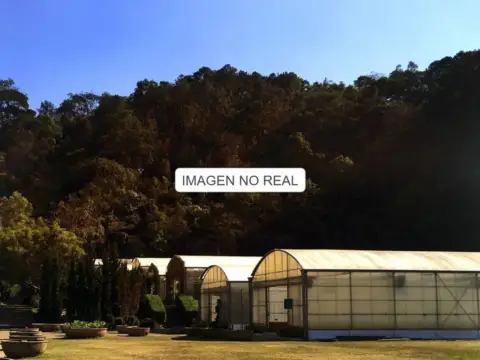 Terreno en calle los Rincones