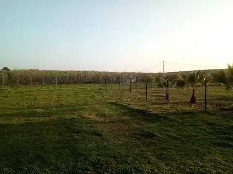 Casa rústica en Aznalcóllar