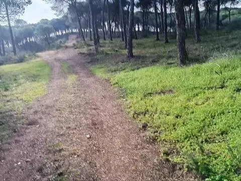 Casa rústica en calle Diseminado Fotea, 15