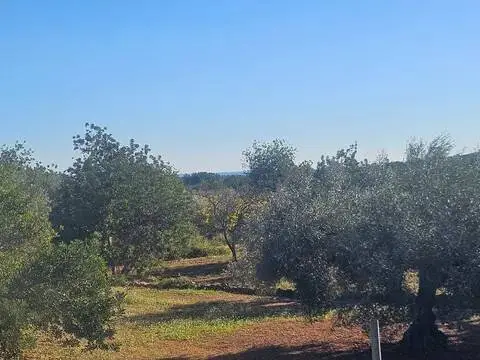 Casa rústica en Cervera del Maestre