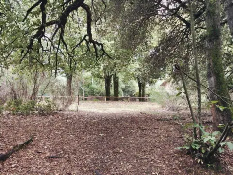 Terreno en Viladrau
