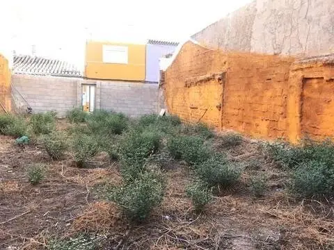 Terreno en calle de Fray Diego de Cádiz