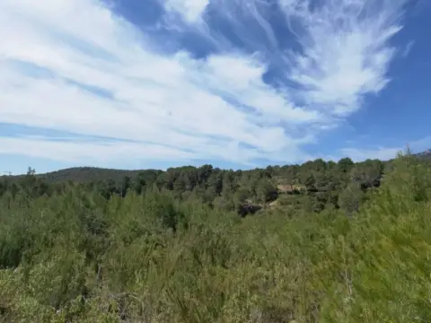 Terreno en Sant Josep de sa Talaia
