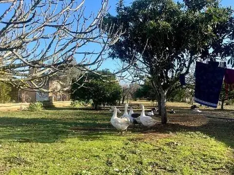 Casa rústica en Sencelles