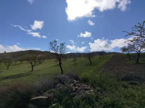 Terreno en La Hoya-Almendricos-Purias