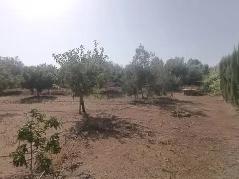 Terreno en Gerena