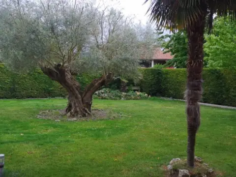 Chalet en Mendizorrotza