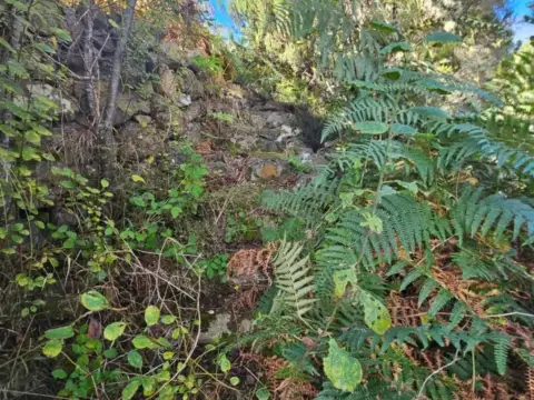 Casa rústica en Icod de Los Vinos