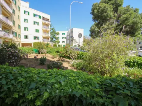 Piso en Son Cladera-Son Rutlan-Verge de Lluc