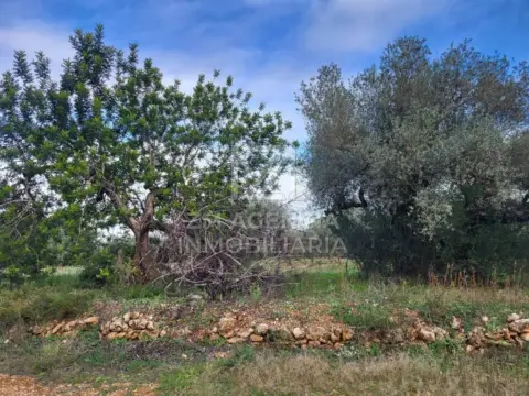 Terreno en calle Cabanes