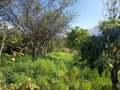 Terreno en Icod de Los Vinos