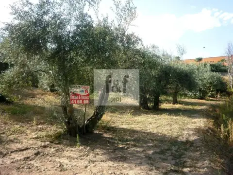 Terreno en Carretera de Torremenga