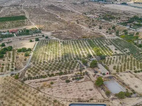 Terreno en Elx - Elche