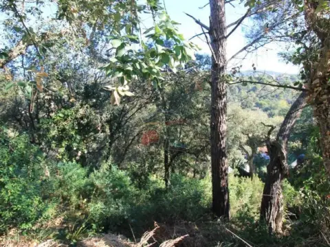 Terreno en Calonge