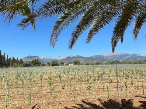 Casa en Sencelles