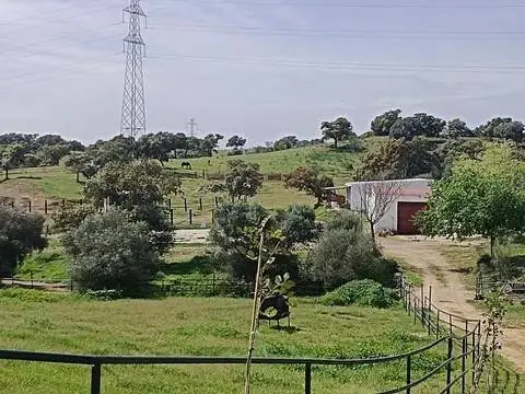 Terreno en Guillena
