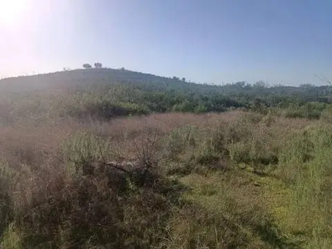 Terreno en Sanlúcar la Mayor