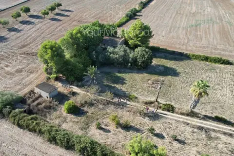 Casa rústica en Manacor