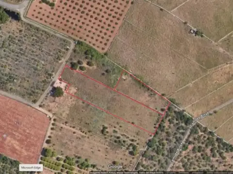 Terreno en calle Partida Bovalar, 157