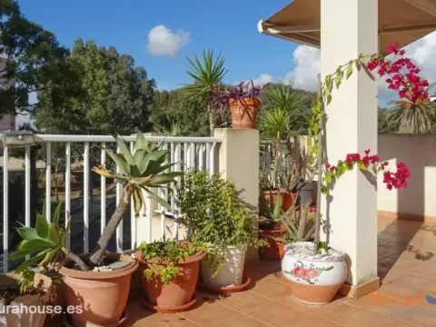 Edificio en Los Puertos-Isla Plana