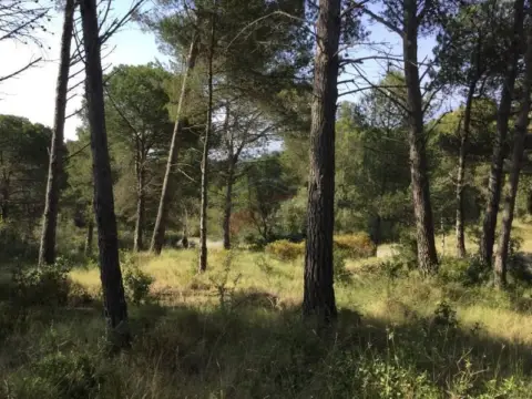 Terreno en Palamós
