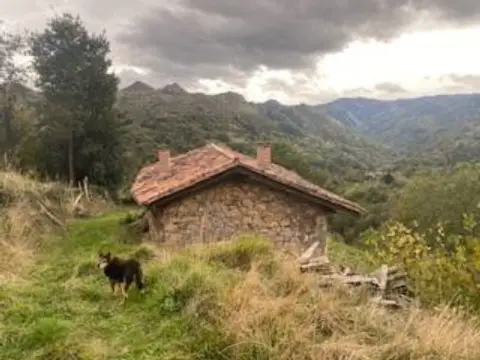 Finca rústica en Vallín (Infiesto)