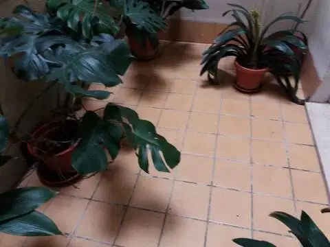 Piso en La Xerea