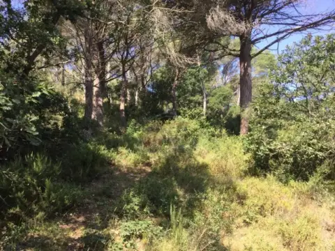 Terreno en Palamós