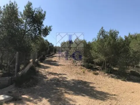 Terreno en Murcia Capital