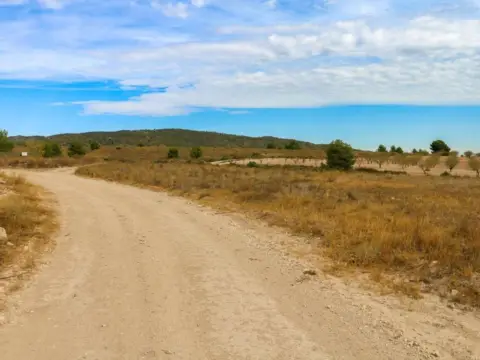 Terreno en Jumilla