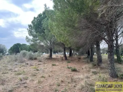 Terreno en Vilamalla
